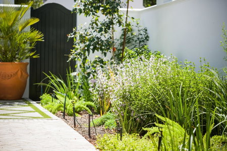 Akademie Street Boutique Hotel, Stellenbosch, South Africa