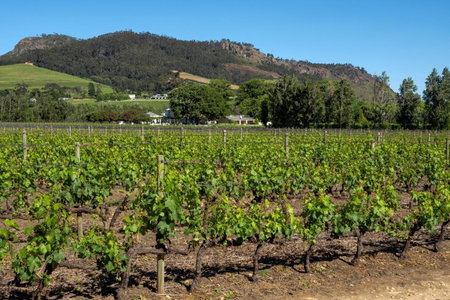 Auberge Clermont, Stellenbosch, South Africa