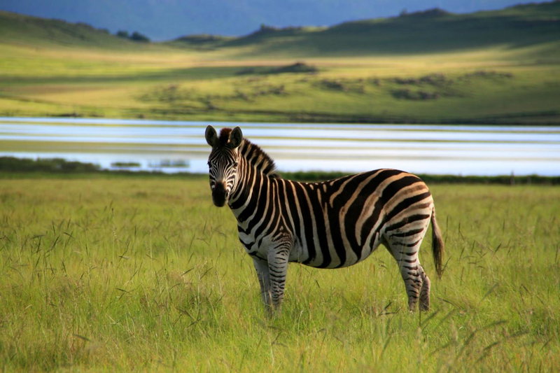 Sani Valley Nature Lodges, Himeville, South Africa