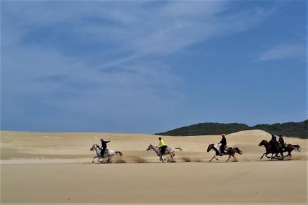 Panorama Guest House, Port Alfred, South Africa