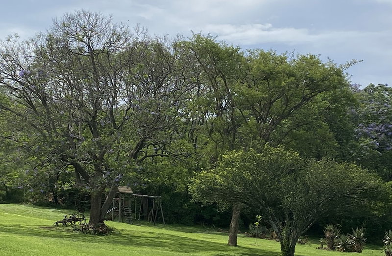 SpionKop Lodge, Ladysmith, South Africa