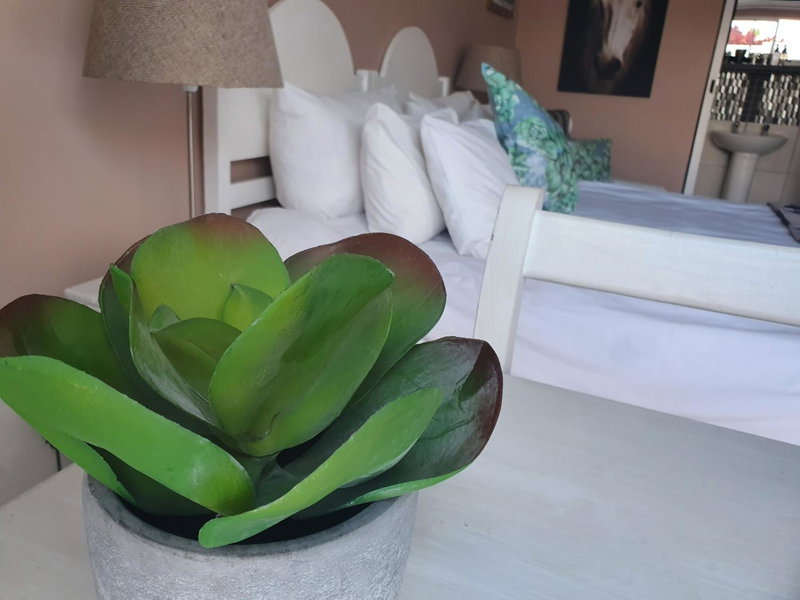 Nahoon Bed & Breakfast, East London, South Africa