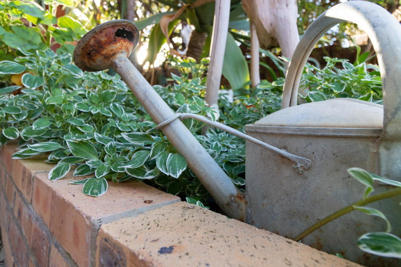 Earthbound Guest House, Oudtshoorn, South Africa