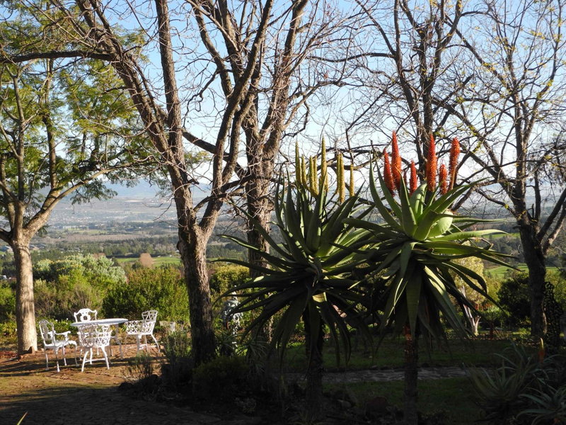 Amberg Country Estate, Paarl, South Africa