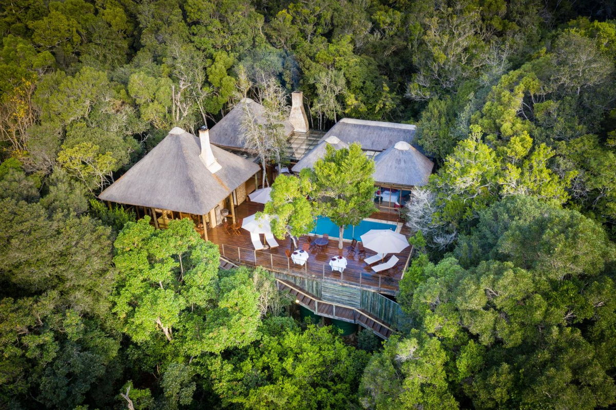 Hotel · Trogon House and Forest Spa, Plettenberg Bay