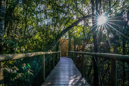 Trogon House and Forest Spa, Plettenberg Bay, South Africa