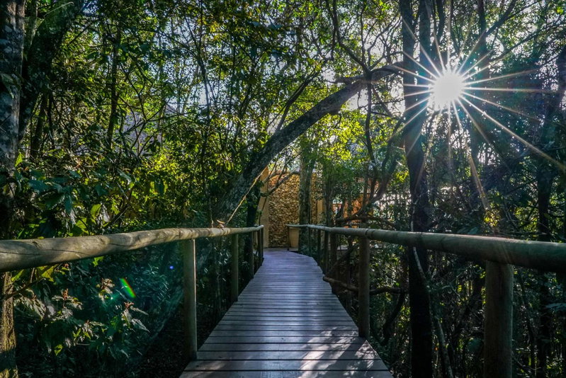 Trogon House and Forest Spa, Plettenberg Bay, South Africa