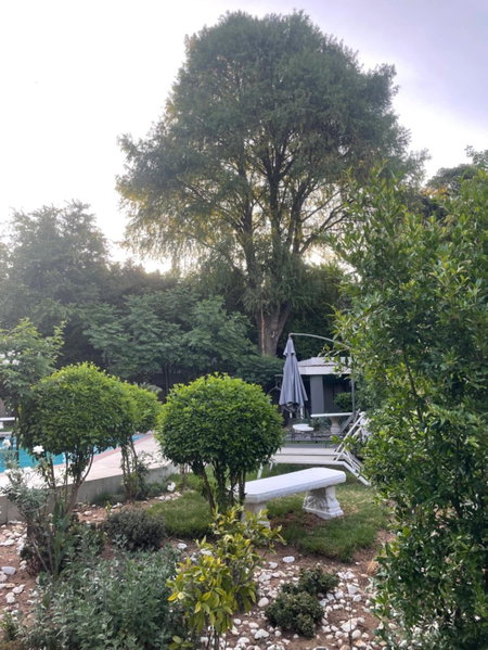 Marion Lodge, Randburg, South Africa