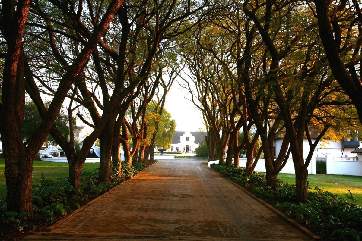 Kievits Kroon Gauteng Wine Estate, South Africa