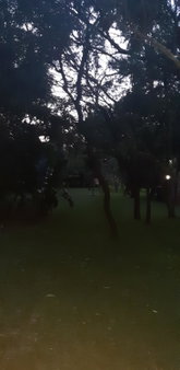 Suikerbosrant Sleep and go, Pretoria, South Africa
