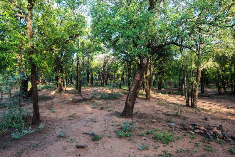 Lush Private Game Lodge, Pilanesberg, South Africa