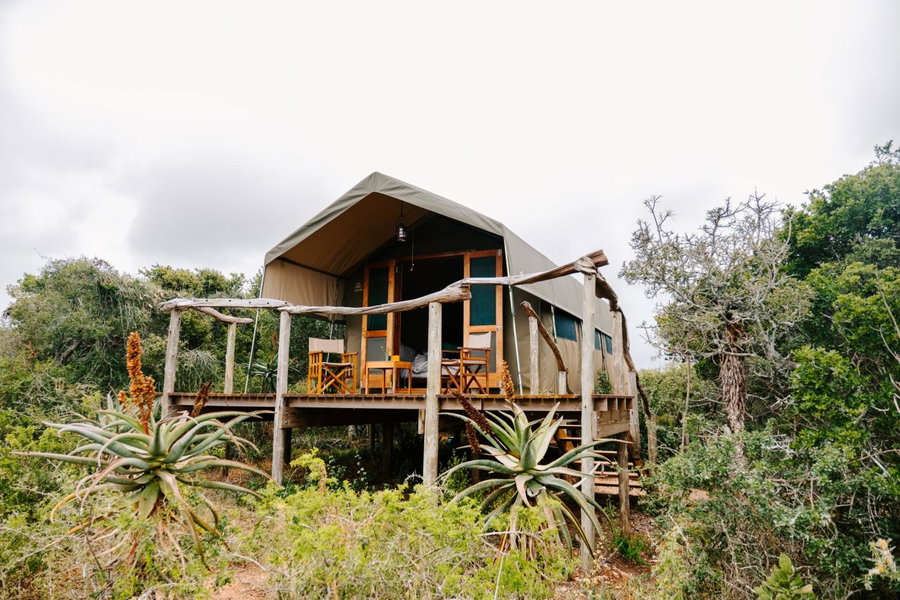 Woodbury Tented Camp – Amakhala Game Reserve, Amakhala Game Reserve, South Africa