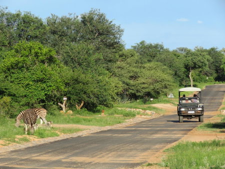 Wild Dog Guest Lodge, Hoedspruit, South Africa