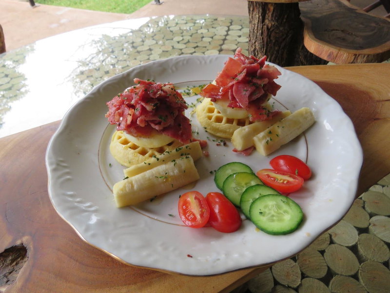 Wild Dog Guest Lodge, Hoedspruit, South Africa