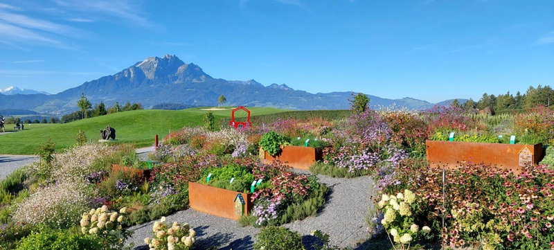 Gasthaus Badhof - Golfhotel, Luzern, Switzerland