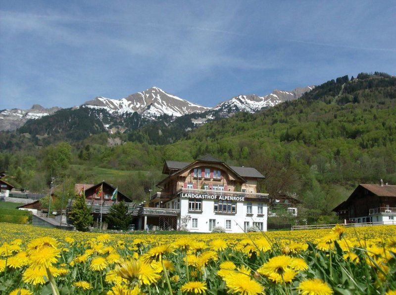 Hotel Alpenrose beim Ballenberg, Brienz, Switzerland