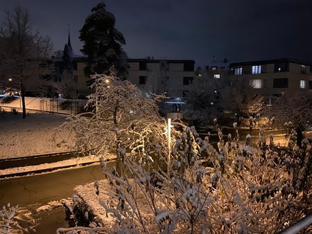 Comfort 1 and 2BDR Apartment close to Zurich Airport, Zürich, Switzerland