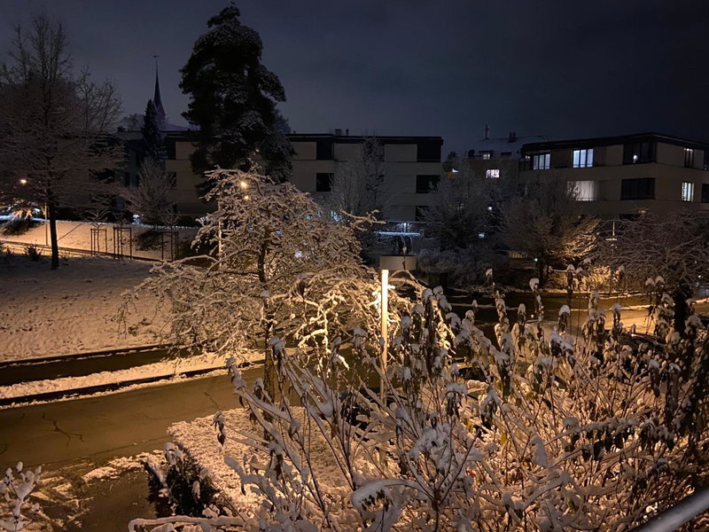 Comfort 1 and 2BDR Apartment close to Zurich Airport, Zürich, Switzerland