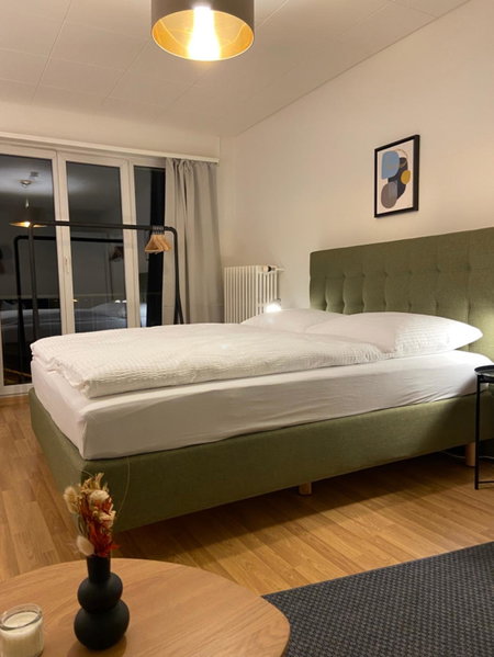 Comfort 1 and 2BDR Apartment close to Zurich Airport, Zürich, Switzerland