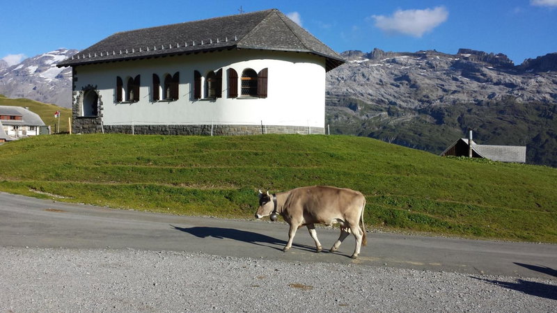 Berggasthaus Tannalp, Frutt, Switzerland