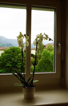 Adventure Hostel Interlaken, Thun, Switzerland