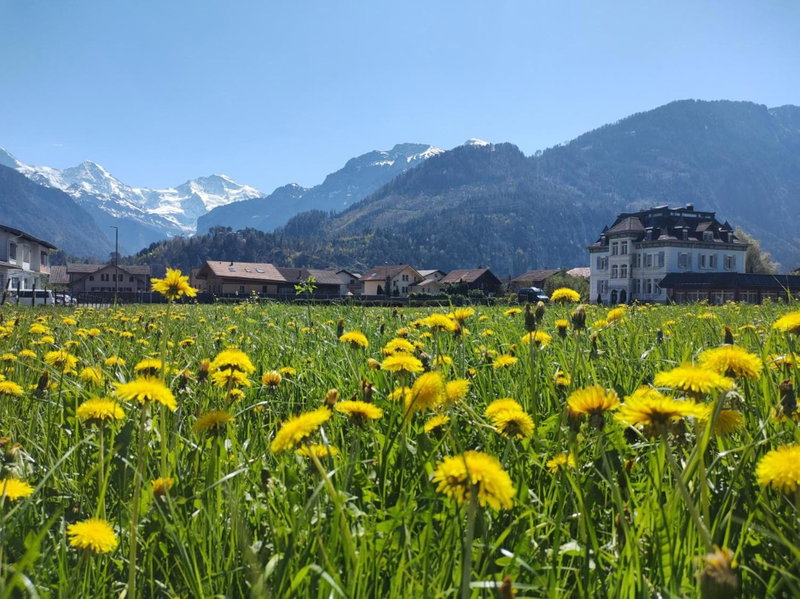 Adventure Hostel Interlaken, Thun, Switzerland