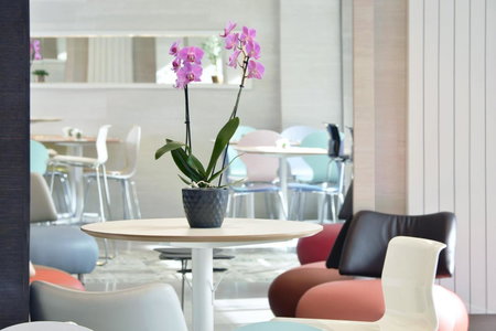 Hotel des Alpes, Geneve, Switzerland