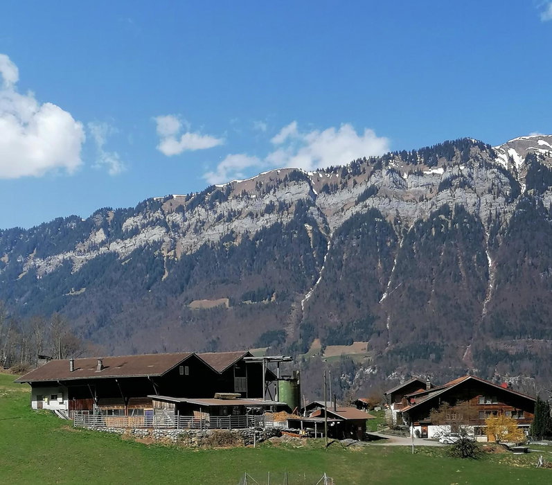 Brunners harzerhof, Iseltwald, Schweiz