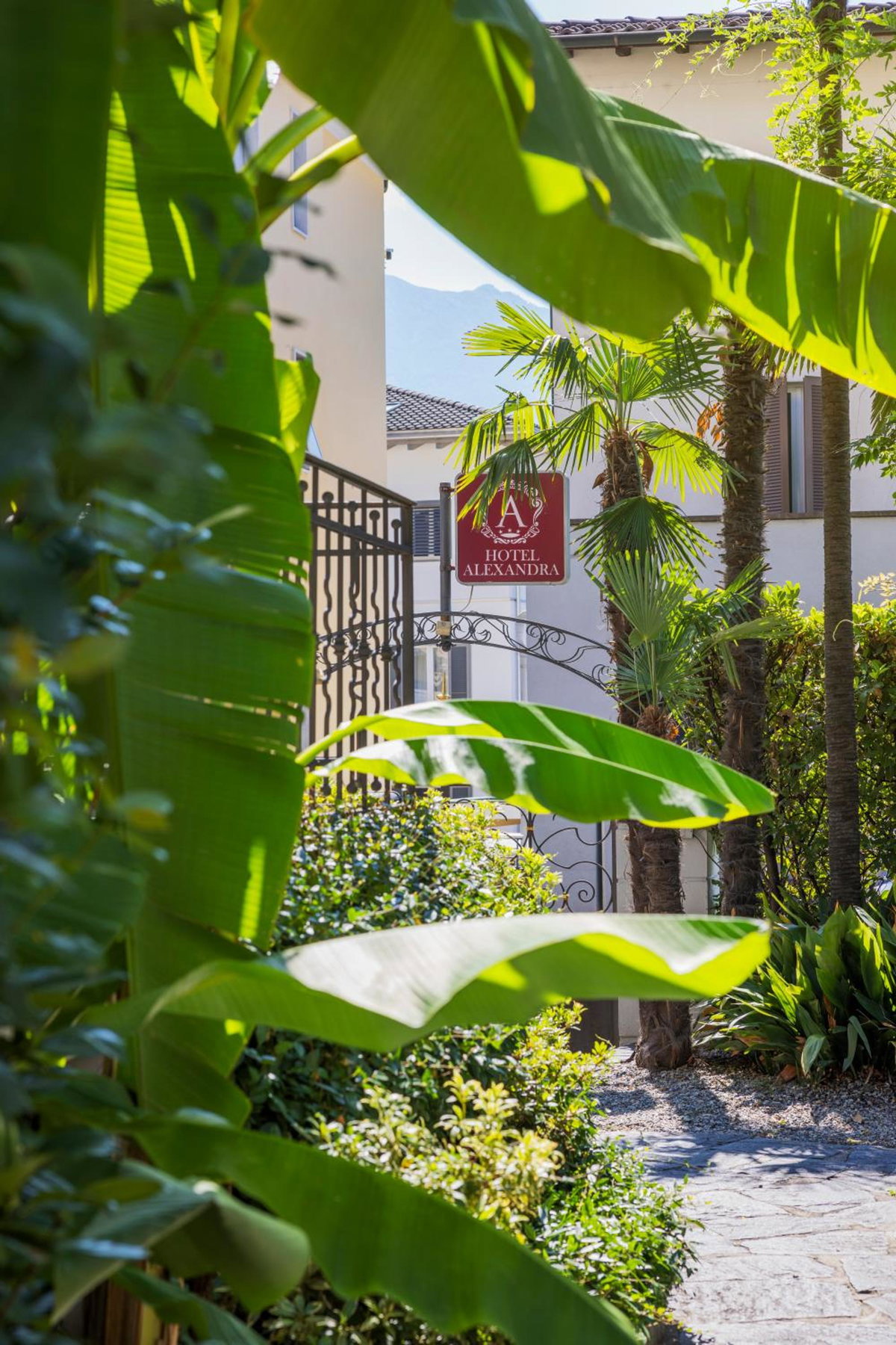 Hotel · Hotel Alexandra, Bellinzona