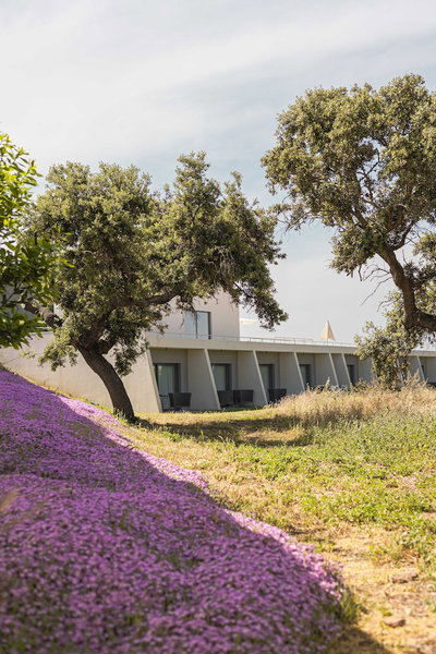 Herdade dos Delgados, Mourão, Portugal