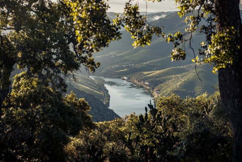 Original Douro Hotel, Vila Real, Portugal