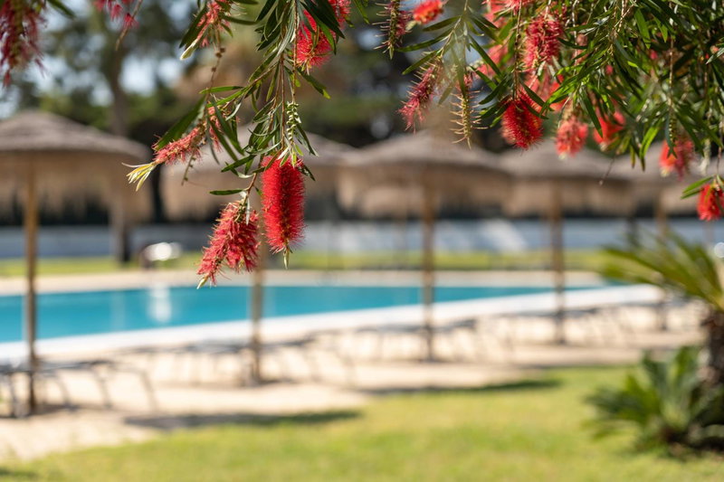 VILA PARK Nature & Business Hotel, Santo André, Portugal