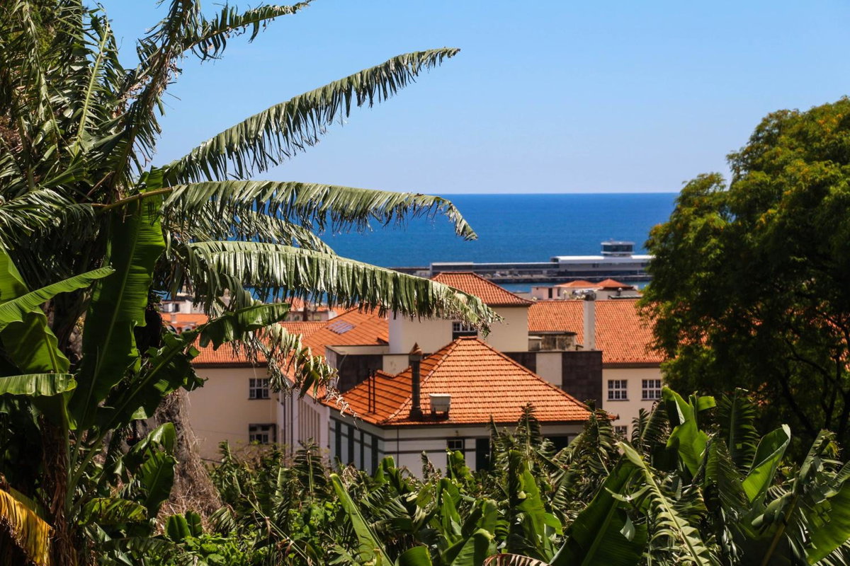 FX Pena, Portugal
