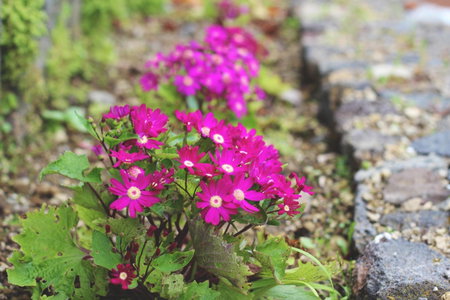 World's Nests Furnas Pods Village, Furnas, Portugal