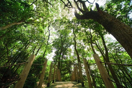 Lido Forestry Spa Resort, Daxi, Taiwan