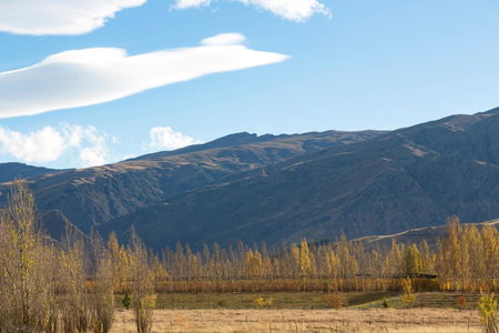 Harvest Park Studios, Cromwell, New Zealand