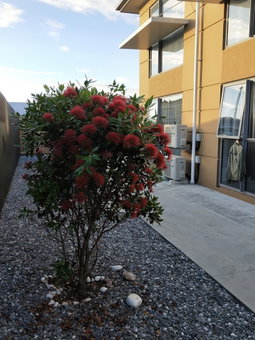 Stopforths Premium Accommodation, Hokitika, New Zealand