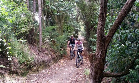 Cambridge Top 10 Holiday Park, Cambridge, New Zealand