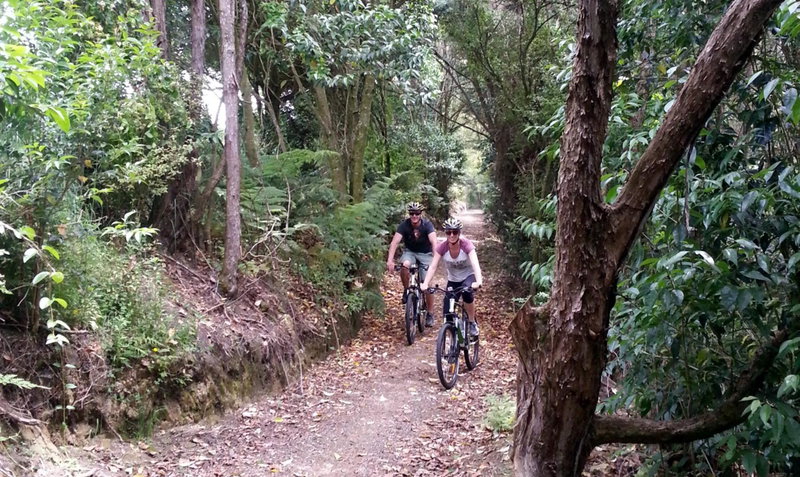 Cambridge Top 10 Holiday Park, Cambridge, New Zealand