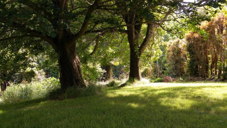Purple Hen Country Lodge, Katikati, New Zealand