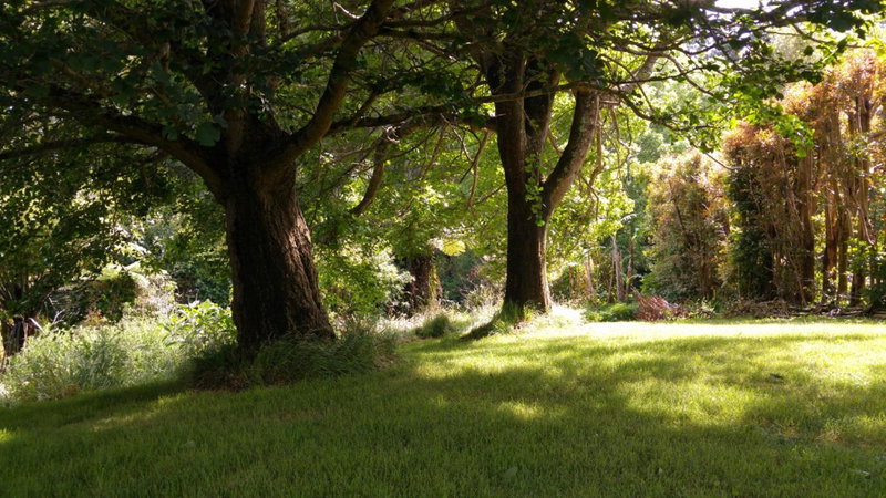 Purple Hen Country Lodge, Katikati, New Zealand