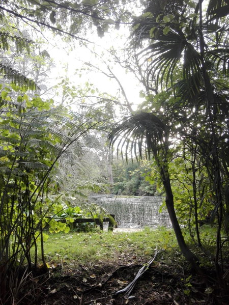 Purple Hen Country Lodge, Katikati, New Zealand