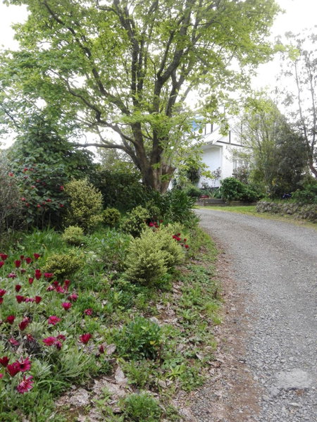 Purple Hen Country Lodge, Katikati, New Zealand