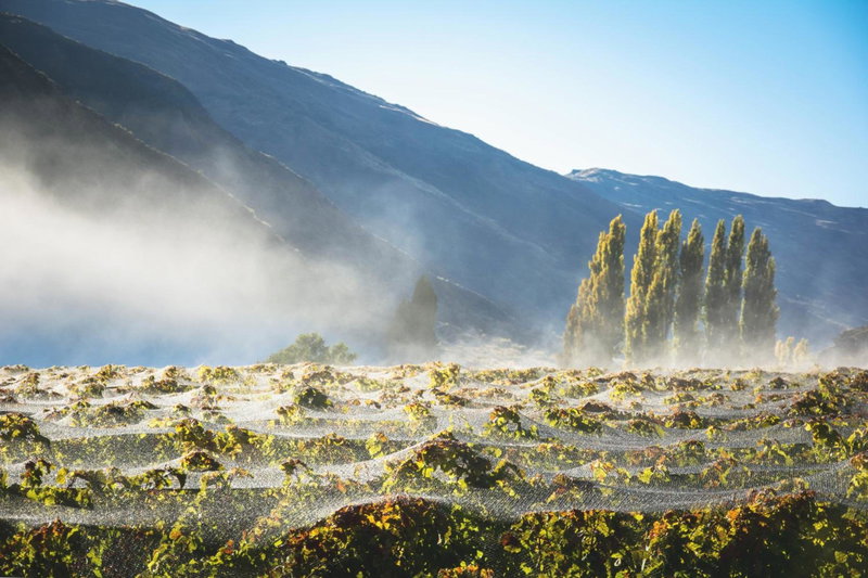 Gibbston Valley Lodge and Spa, Queenstown, New Zealand