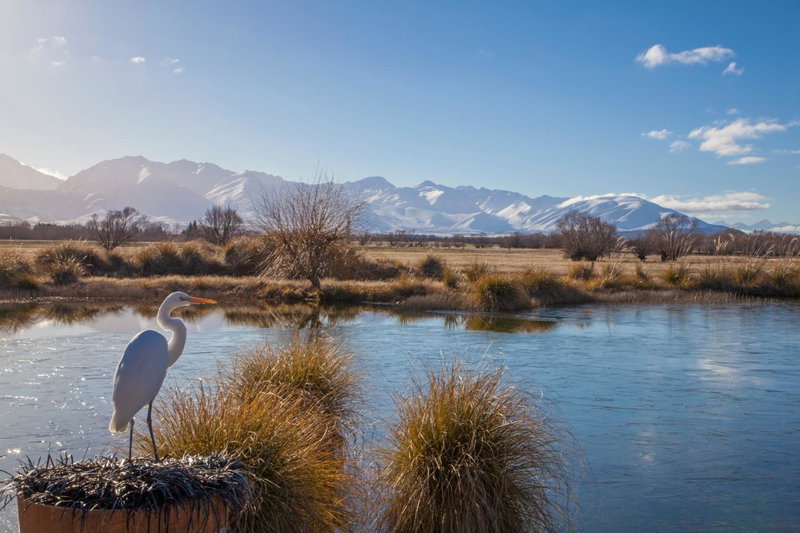 Matuka Lodge, Twizel, New Zealand