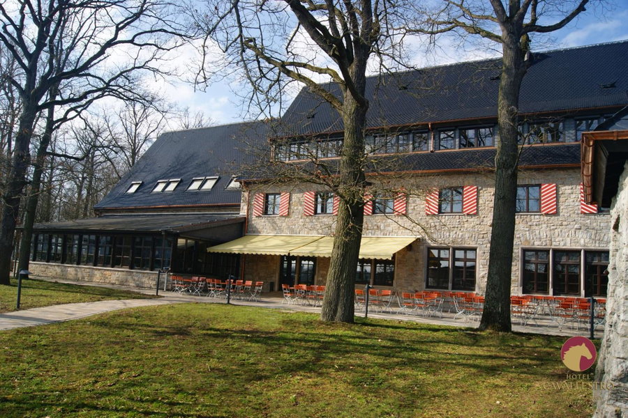 Cavallestro Classic, Kitzingen, Germany