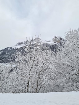 Hôtel Le White - Le 42 Restaurant, Monthey, Switzerland