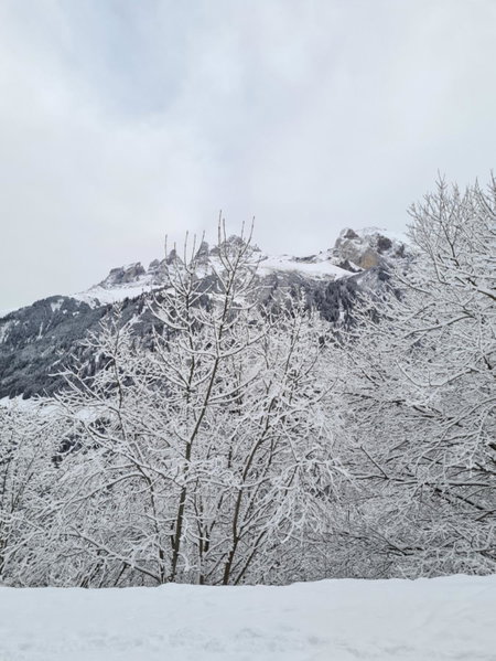Hôtel Le White - Le 42 Restaurant, Monthey, Switzerland