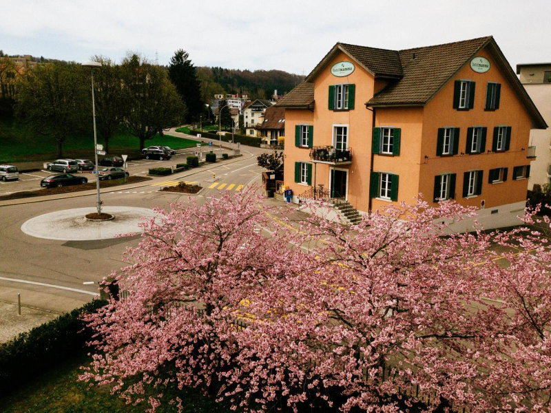 Hotel - Restaurant Waage, Dietikon, Switzerland
