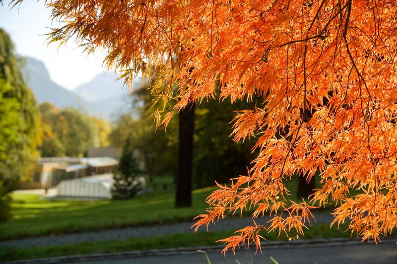 Hotel Schloss Ragaz, Chur, Switzerland